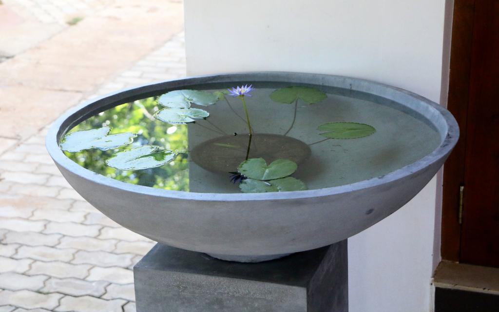 Hotel T&T Anuradhapura Buitenkant foto